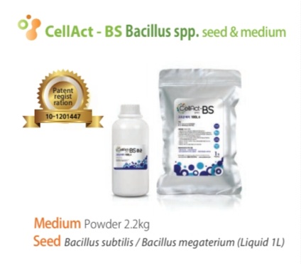 CellAct-BS