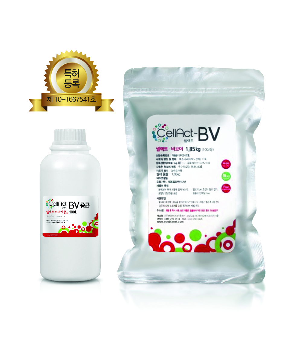 CellAct-BV